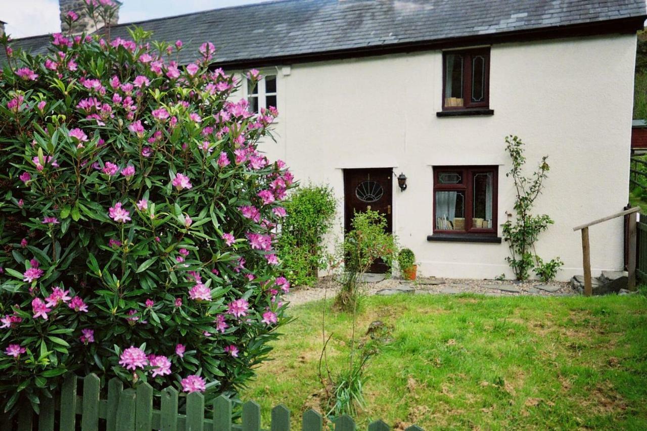 Deer House Villa Machynlleth Exterior photo